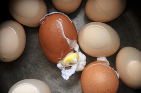 Gallina Electrica Cocinador De Huevos